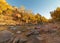 The Virgin river in Zion national park is lined with red sandstone boulders eroded from the mountains above