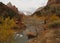 The Virgin River, Zion National Park, Utah