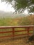 Virginia Appalachian mountains fall rainy