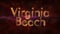 Virginia Beach - Shiny looping city name text animation