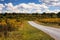 Virginia Country Road Through Goldenrod Wildflowers