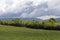 Virginia Field, Mountains, Clouds