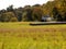 Virginia Hay Field - Farmland