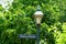 Virginia, U.S.A - June 30, 2020 - The light pole with road sign into Palace Green on the street