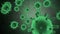 Virtual animated representation of coronavirus 2019-nCoV pathogen cells inside infected organism shown as green