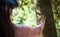 Virtual forest. A young woman among the trees, wearing virtual reality glasses, touches the boles and branches.