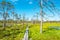 Viru Bog area view. Estonia, Baltic States