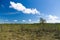 Viru bog reserve area under blue sky