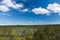 Viru bogs area on summer, top view