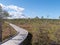 Viru bogs at Lahemaa national park