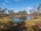 Viru bogs at Lahemaa national park