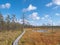 Viru bogs at Lahemaa national park