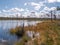 Viru bogs at Lahemaa national park