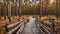 Viru bogs at Lahemaa national park in autumn. Wooden path at beautiful place in Estonia