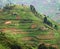 Virunga Mountains in Africa