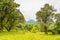 Virunga Volcanoes and Mgahinga Gorilla National Park from Kisoro in colorful early morning. Kisoro District, Uganda, Africa.