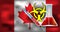 Virus or bacteria infection threat to Canada vector medical concept illustration - biohazard sign with syringe  on flag