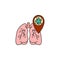 Virus, bacteria and lungs line, linear icon, symbol, sign. coronavirus, COVID-19 icon, logo color on white
