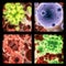Virus, bacteria and molecule structure of disease closeup in series for medical investigation or research. Covid