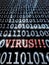 Virus in the binary code