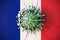 Virus breaks wall with flag of France. Coronavirus outbreak related conceptual 3D rendering