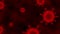 Virus cells ,corona virus or covid 19   flowing on red background ,Viral disease outbreak. Hepatitis viruses, influenza virus