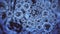 Virus cells of coronavirus covid19 are moving in the blood vessel in the form of blue cells floating at background of