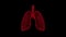 The virus enters the person and infects human lungs over black background.