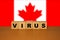 Virus message inscription on a wooden desk on cube blocks with a Canada flag background.