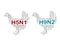 Virus Subtype H5N1 and H9N2 Avian Influenza Outbreaks in Chickens