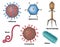 Virus types in different shapes and sizes