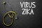 Virus Zika Handwritten on Chalkboard. 3D Illustration.