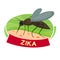 Virus Zika vector illustration