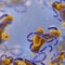 Viruses and cells background. Flu Infection and realistic microscope objects, germs and bacteria banner and poster