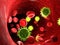 Viruses in the human blood