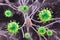 Viruses infecting neurons, concept for brain infection, 3D illustration