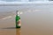 Visakhapatnam, Andhra Pradesh on 16th March in 2016 : An empty beer bottle lying down on the sand in Vizag Yarada beach.