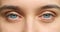 Vision, eyes and woman portrait watching in optometry healthcare, wellness or eyesight exam closeup, macro or zoom