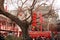 Visit the temple fair in Town God& x27;s Temple, Zhengzhou