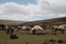 visit to nomadic settlement, with tents and animals in the background