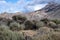 Visiting Teide national park on Tenerife and view on volcanic landscapes, Canary islands, Spain