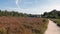 Visitor centre in the Schoorlse Duinen Dunes in North Holland, the Netherlands