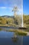 An visitor watches Old Faithful Geyser of California erupts.