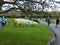 Visitors enjoy the beauty of Phoenix Park, in Dublin City, with its spring flowers and tulip beds.