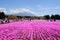 Visitors enjoy flower garden in Fuji Shibazakura Festival, Yamanashi, Japan