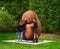 Visitors enjoy unique sculptures on permanent display at Grounds For Sculpture