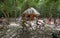 Visitors explore Coba ruins by bicycle