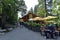 Visitors exploring the Capilano River Regional Park in North Vancouver, Capilano is famouse for Suspension Bridge is 460 feet long