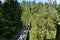 Visitors exploring the Capilano Suspension Bridge park in North Vancouver, Capilano Suspension Bridge is 460 feet long and 230 met