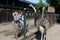 Visitors feed African ostriches at the Ostrich Ranch Contact Zoo in Barnaul